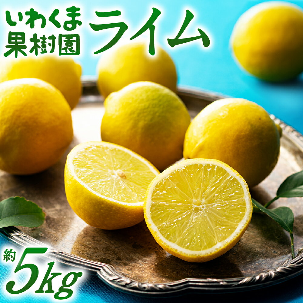 【ふるさと納税】貴重な国産ライム.約5kg.新宮町産の逸品です／2025年10月〜12月発送予定.AA206