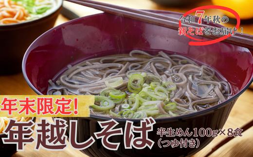 
            【12/17～28配送】R7秋新そば 豊後高田なまそば（100g×8食・つゆ付） 蕎麦 年内配送
          