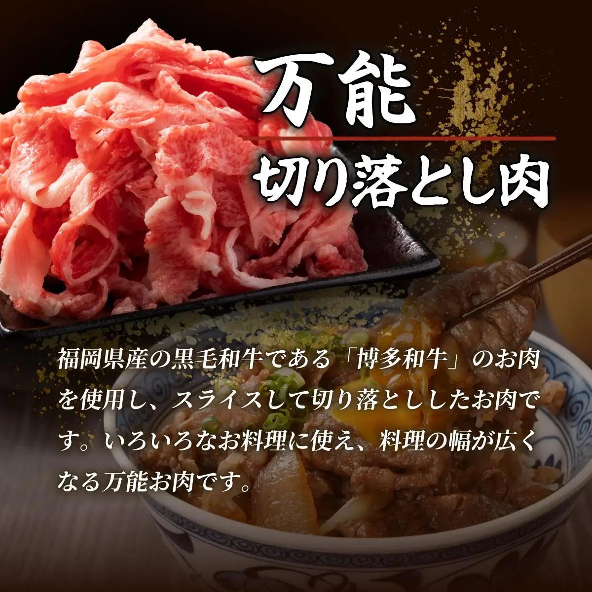 博多和牛切落し500g×2パック (計1kg)
