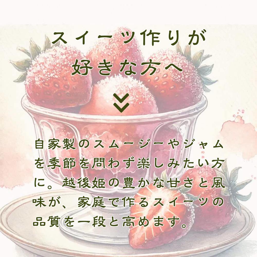 削りいちこ゛越後姫500g　6ヶ月定期便 冷凍 イチゴ 苺 果物 フルーツ 新潟