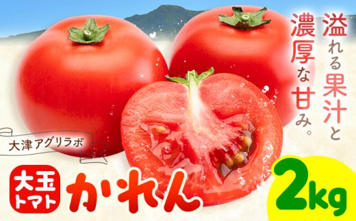 【大津アグリラボ】大玉トマト かれん 約2kg 株式会社中九州クボタ《10月上旬-6月下旬頃出荷》熊本県 大津町 トマト 大玉 野菜