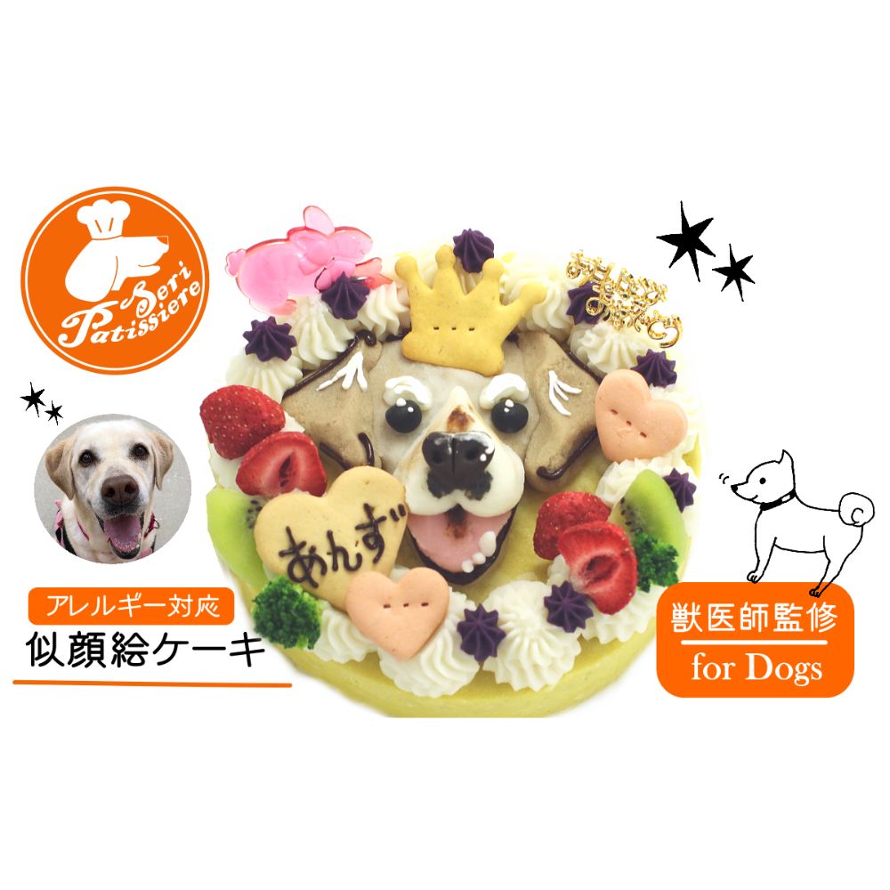 【ふるさと納税限定】犬用似顔絵ケーキ　アレルギー対応・獣医師監修_イメージ4