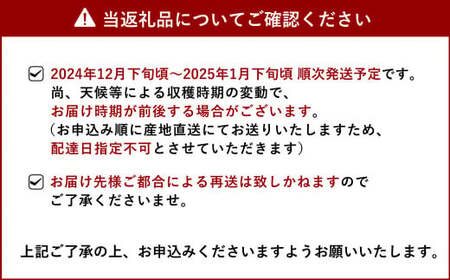 先行予約 不知火 温室ハウス栽培 プレミアム完熟不知火 約3kg 髙橋果樹園【2024年12月下旬から2025年1月下旬発送予定】不知火 しらぬい 柑橘 