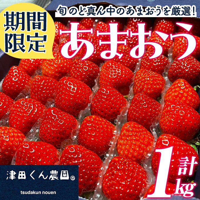 【ふるさと納税】＜先行予約受付中！2026年1月上旬から2025年2月末にかけて順次発送予定＞福岡県産いちご 津田くん農園のあまおう(計約1kg) 苺 いちご イチゴ フルーツ 果物 くだもの 数量限定 期間限定＜離島配送不可＞【ksg1323】【くしだ企画】