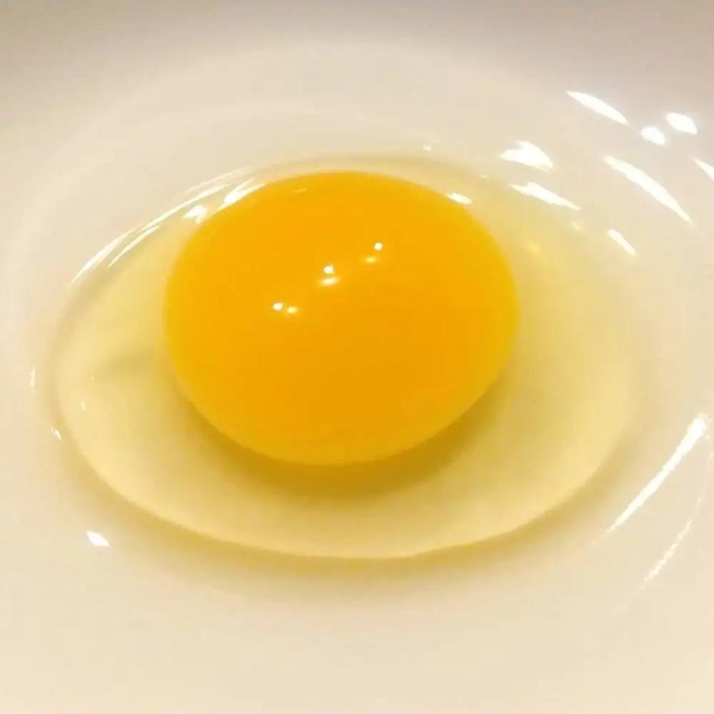 国産飼料の放牧有精卵「君は太陽」静岡発・サステナブルな循環型たまご