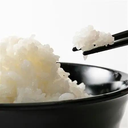 【毎月定期便】大江山蛇紋岩成分の影響を受けたミネラル豊富な棚田で育ったコシヒカリ精米5kg全3回_ 精米 米    コシヒカリ 米 こしひかり  定期便 定期便  _【4057576】