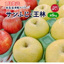 【ふるさと納税】【1月発送】【訳あり】青森県津軽のりんご「サンふじ・王林」約5kg【里いちみfarm】　板柳町　お届け：2025年1月8日～2025年1月30日