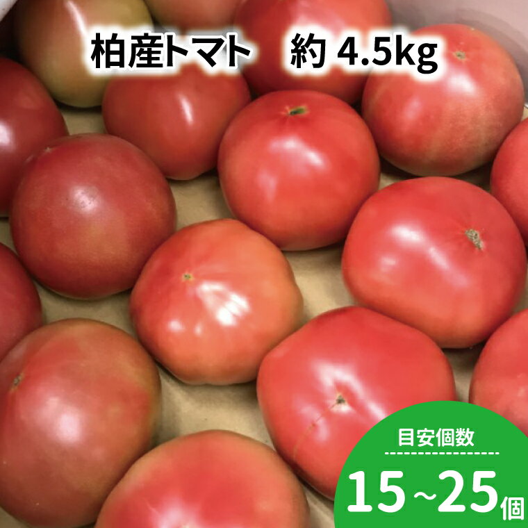 【ふるさと納税】 トマト 4.5kg セット 野菜 美味しい おいしい 大玉 中玉 旬 国産 千葉県産 柏市産 トマトソース サラダ プレゼント 贈り物 お取り寄せ 取り寄せ おすすめ おススメ 大量 産地直送