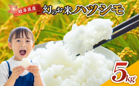 令和7年産 岐阜県産 ハツシモ 5kg  | 米 ハツシモ