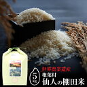 【ふるさと納税】仙人の棚田米【5kg】宮崎県産 米 お米 ご飯 国産 おにぎり 贈り物 ギフト 贈答 お中元 お歳暮 父 母 敬老 特産 備蓄米 非常用 産地直送