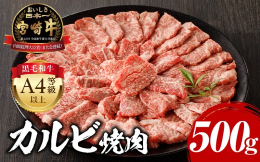 【2026年9月発送】宮崎牛 カルビ焼肉 500g_M243-004-sep