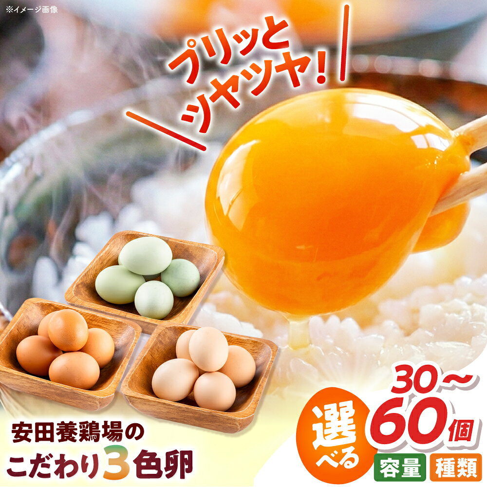 【ふるさと納税】卵 30個〜60個 割れ保証付き 【選べる種類と個数！】安田養鶏場の卵（しおさい・アトムくん・タフラン・3種セット） 産地直送 黄身 濃厚 玉子 タマゴ たまご 鶏卵 卵焼き 【安田養鶏場】[AKHN001] 5000円 5千円
