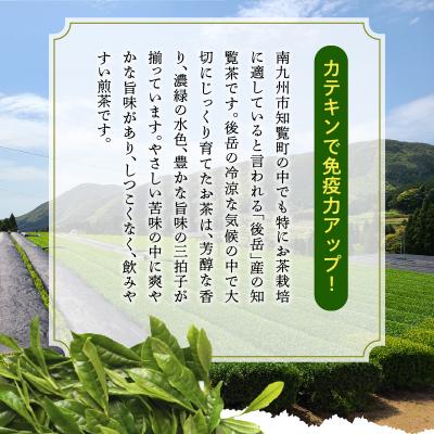 ふるさと納税 南九州市 知覧茶 お徳用4袋 |  | 01