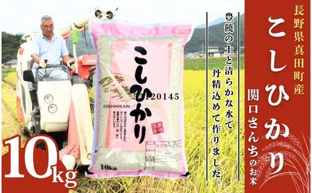 米 令和7年産 関口さんちのお米 コシヒカリ 10kg お米 こめ コメ 精米 白米 ご飯 こしひかり 長野 信州