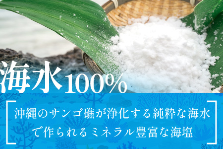 石垣の塩 500g×2 計1kg ｜ 沖縄 石垣 塩 調味料 海塩 SI-94