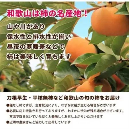 家庭用 たねなし柿10kg【訳あり】【刀根早生・平核無柿(ひらたねなしかき)】【1667411】