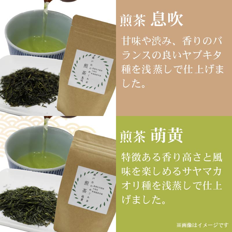 春 の お茶 4種 セット リーフ 茶葉 煎茶 釜炒り茶 春のお茶 息吹 萌黄 こかげ 薫風 浅蒸し茶 静岡県産 静岡茶 飲料 おちゃ 静岡県 藤枝市
