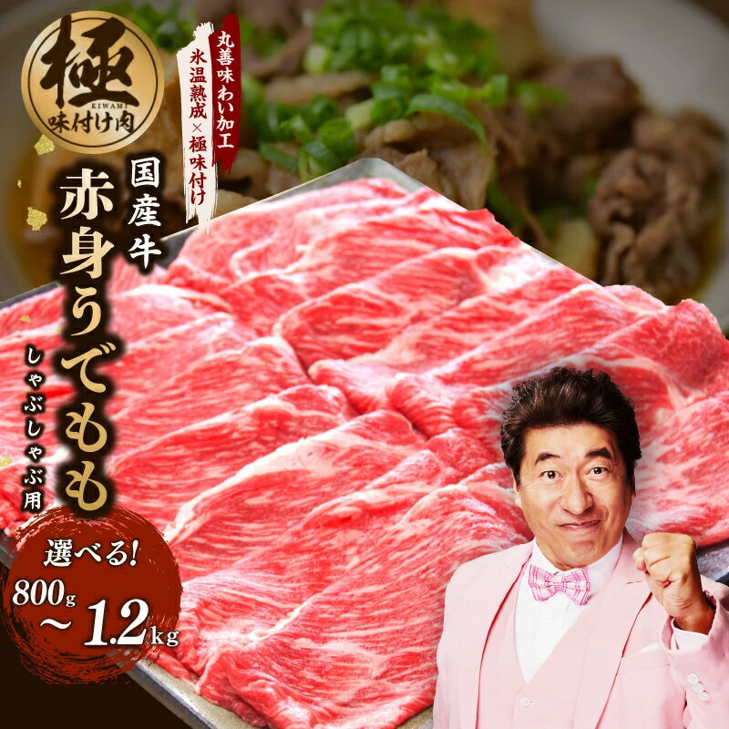 【ふるさと納税】【氷温熟成×極味付け】国産 牛肉 赤身スライス（うで もも）800g / 1.2kg 小分け 400g すき焼き しゃぶしゃぶ用 国産牛 丸善味わい加工 氷温熟成 極味付け 作り方 ふるさと納税オリジナル 限定 大阪府 泉佐野市 送料無料 肉の泉佐野