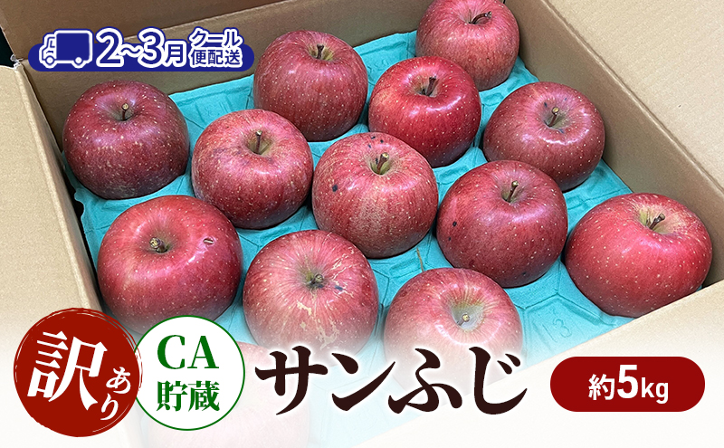 鶴田町　26年1月おすすめ返礼品！ りんご 【2-3月クール便配送】 CA貯蔵 訳あり サンふじ 約 5kg リンゴ 果物 訳アリ 青森県 鶴田町