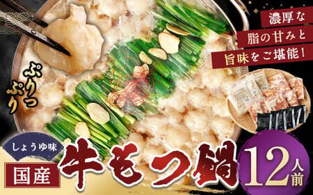 【12月発送】 国産牛もつ鍋 12人前 ちゃんぽん 濃縮スープ付（醤油味） もつ ホルモン 鍋 お鍋 セット 冷凍 岡垣町