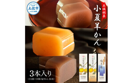 小夏羊かん 3本入り（小豆餡・てぼ餡・塩羊かん 各1本）羊羹 ようかん 和菓子 お菓子 おかし おやつ スイーツ こなつ あずき しお 土佐銘菓 プレゼント 贈答 手土産 食品【のしや本家】 [BQCN002]