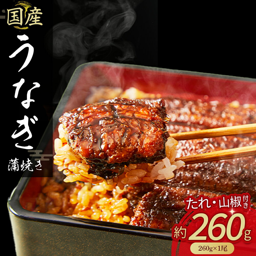 国産うなぎ蒲焼き1尾（260g） 冷凍 たれ付き