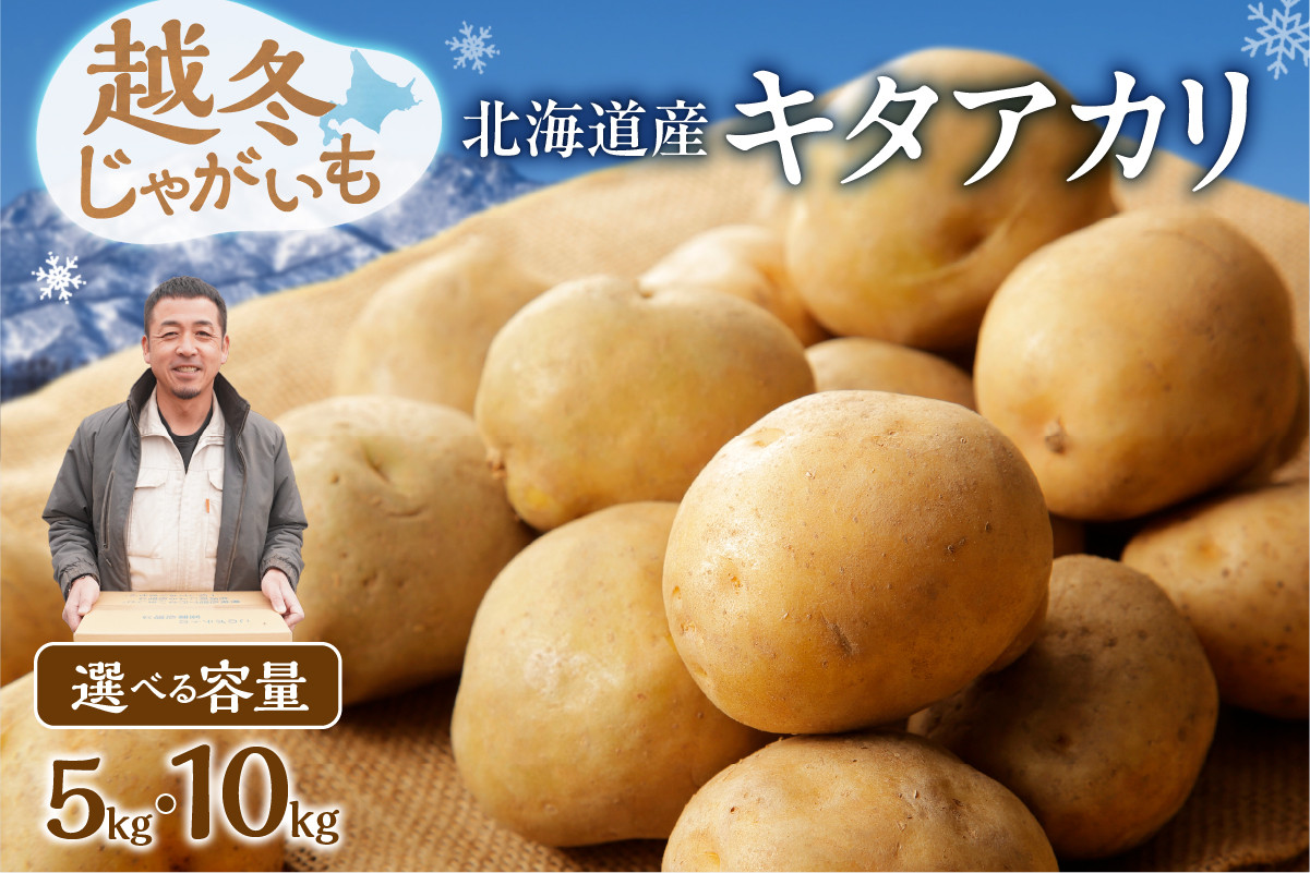 
            先行受付！【選べる内容量！】ホクホク あま～い！ 低温貯蔵！北海道産 越冬じゃがいも キタアカリ 約5kg じゃがいも いも 芋 キタアカリ 産地直送 越冬_S041
          