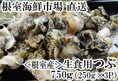 【北海道根室産】根室海鮮市場<直送>生食用灯台つぶ250g×3P(計750g) A-28123