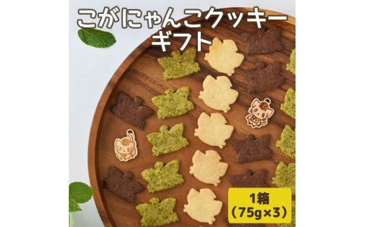 こがにゃんこクッキーギフト_CF01※北海道、沖縄、離島への配送不可※着日指定不可