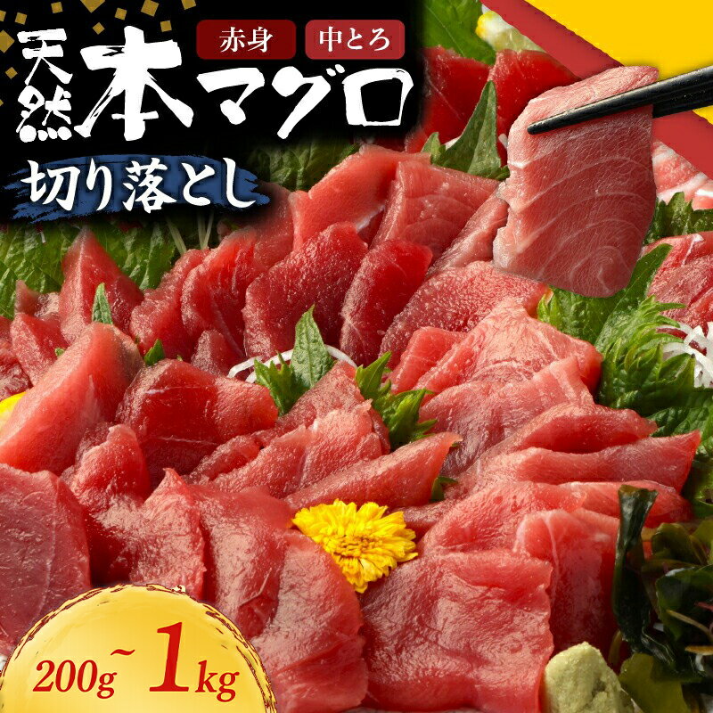 【ふるさと納税】 【容量選べる】本マグロ 赤身 中とろ 切り落とし 200g ～ 1kg | 小分け 冷凍 天然まぐろ 鮪 刺身 刺し身 ふるさと納税魚介 寿司 惣菜 海鮮丼 魚介類 ふるさと納税まぐろ 訳あり ふるさと納税海鮮 漬け丼 不揃い マグロ漬け丼 規格外 10000円 人気 高知県
