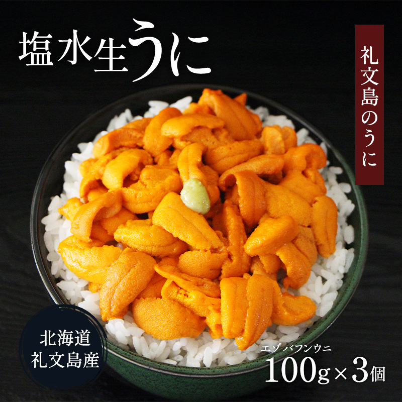 北海道 礼文島産 ミョウバン不使用 塩水ウニ エゾバフンウニ 100g×3パック［野崎水産］【 うに ウニ 雲丹 生うに 塩水うに バフンウニ 素材本来の味 海鮮 うに丼 濃厚 甘み 産地直送 】