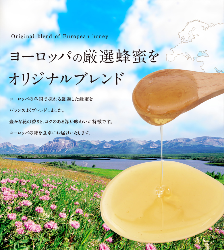 【全6回】 定期便（EU500g×2） かの蜂 純粋蜂蜜 合計6kg（ヨーロピアンセレクション500gを毎月2本お届け）