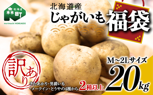 【先行予約】【訳あり】北海道森町産 じゃがいも福袋20kg （2024年8月上旬～12月中旬までに順次お届け） 野菜 ジャガイモ じゃがいも きたあかり だんしゃく 男爵いも とうや メークイン ポテト 北海道 セット 詰め合わせ 福袋 送料無料 mr1-0145