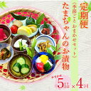 【ふるさと納税】 定期便 年4回 漬物 ビール漬 季節野菜 5品 おまかせ沼津 セット 小分け