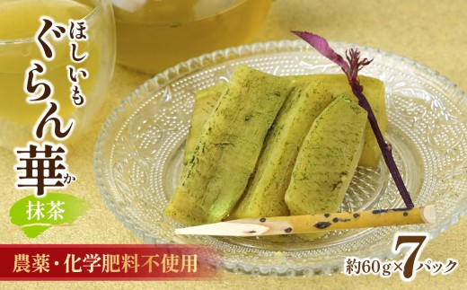 干し芋 紅はるか (抹茶)7パック ギフト箱入り 茨城県産【ほしいも ぐらん華】| ほしいも ホシイモ 干し芋 ほし芋 干しいも さつまいも おやつ 紅はるか 小分け チョコ チョコレート 抹茶 贈答 ギフト 茨城県 ひたちなか市