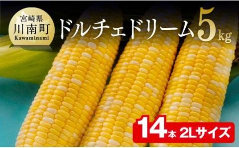 【令和8年発送】宮崎県産とうもろこし　朝どれ！守部さんちのドルチェドリーム (2L)5kg 【 先行予約 数量限定 期間限定 とうもろこし スイートコーン トウモロコシ スィートコーン 令和8年発送 】