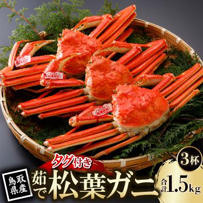 ふるさと納税 智頭町 【先行予約】鳥取県産 タグ付き 茹 松葉がに 500g×3杯(中村商店)26年12月・27年1月発送