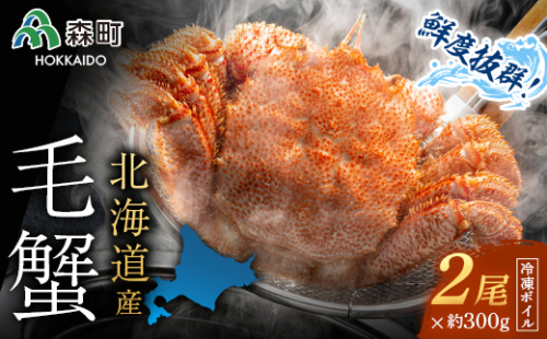 北海道産 冷凍ボイル毛ガニ 300g前後×2尾 ＜海鮮問屋　株式会社　瑞宝＞ かに カニ 蟹 ガニ がに 森町 ふるさと納税 北海道 毛蟹 毛かに 毛ガニ 毛カニ mr1-1466