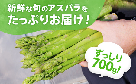 先行予約 アスパラ 3Lサイズ 700g 朝採り 直送 夏芽 グリーンアスパラガス 数量限定 朝採れ 【2026年6月から8月お届け】 BT05