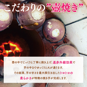 【日本さつまいもサミット2025-26　ファーマーズ・オブ・ザ・イヤー受賞】冷凍 壺焼き芋 紅はるか3kg（500g×6）（IN-13)