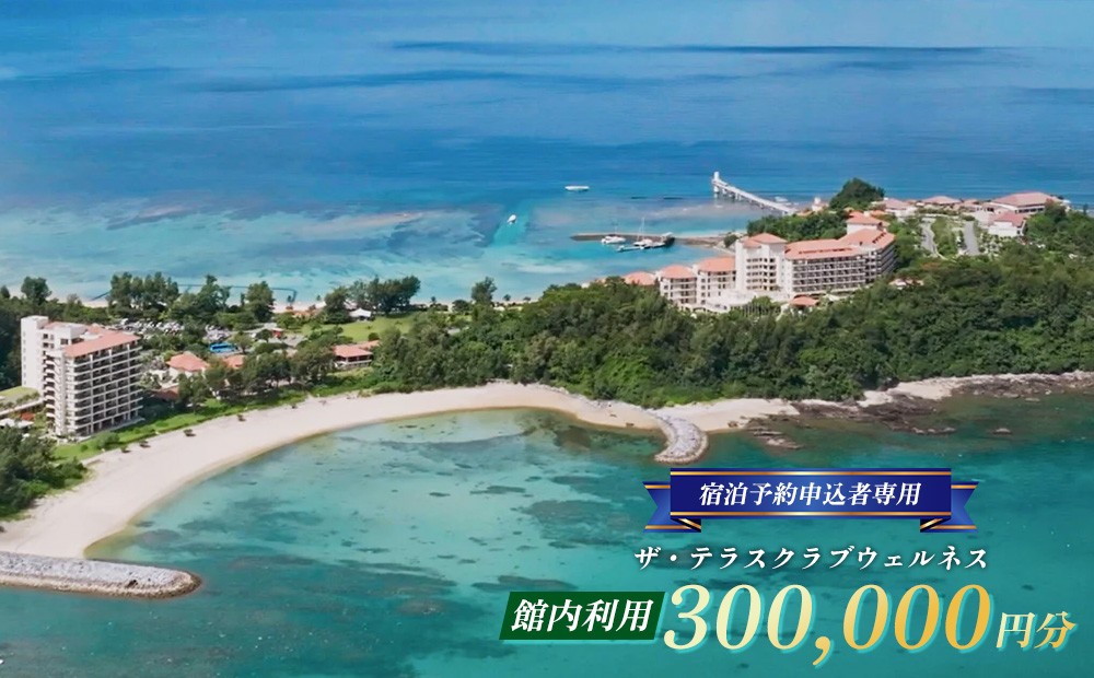 
                  【宿泊予約申込者専用】ザ・テラスクラブウェルネス館内利用（30万円分） 宿泊券 ホテル 宿 旅行 1泊2日 人気 おすすめ ギフト プレゼント 贈り物 バカンス 海 カップル 家族 ファミリー 友人 名護市 サプライズ 新婚 誕生日
                