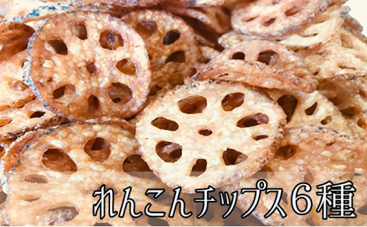 れんこん チップス 6種 詰め合わせ 各種40g プレーン 塩 カレー コンソメ サワークリーム のり塩 ６種 各種４０ｇ _b-161