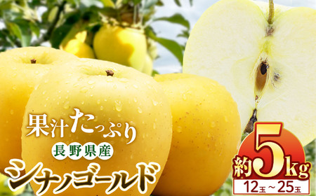 【10月下旬発送】シナノゴールド 5kg(12～25玉)｜ふるさと納税 松本市 シナノゴールド りんご 林檎  果物 フルーツ 信州 美味しい 