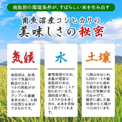ふるさと納税 南魚沼市 新潟県 南魚沼産 コシヒカリ お米 2kg ×2個 こしひかり 計4kg (美味しい炊き方ガイド付) |  | 03