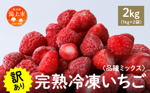 《 訳あり 》 冷凍いちご 大容量 規格外 不揃い 完熟 国産 採れたて 2kg 2袋 真空 個包装 バラ冷凍 ヘタなし 葉なし 冷凍 選べる いちご 苺 人気 送料無料【フルーツパークDETO】