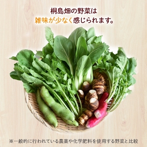 【栽培期間中、農薬・化学肥料不使用】桐島畑の季節野菜詰め合わせ(5種類)(定期便12か月コース)　Rfkh-A02 ／ やさい 国産野菜 四万十 高知 季節 フレッシュ 旬 無農薬 有機農業 野菜セッ
