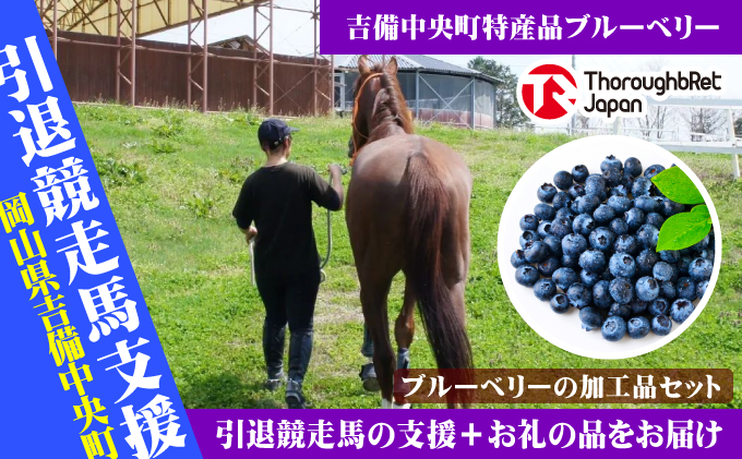 【引退競走馬支援!】吉備中央町産ブルーベリー加工品セットA