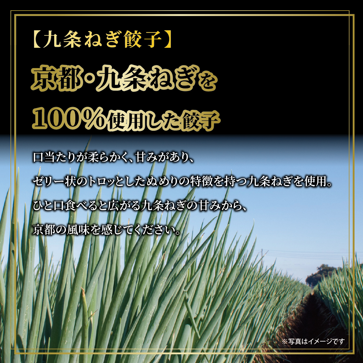 神戸牛餃子・黒豚餃子・地鶏餃子 各1折セット：熨斗なし