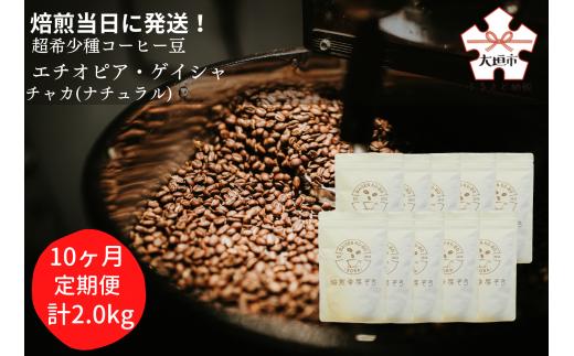 【定期便(10か月)】焙煎当日に発送！超希少種コーヒー豆『エチオピア　ゲイシャ』ゲシャビレッジ農園　豆