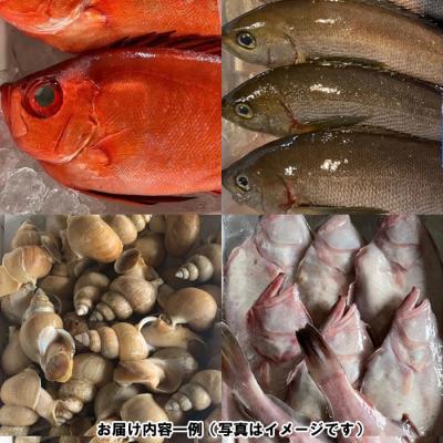 ふるさと納税 出雲市 季節のおさかな、おまかせセット!3K相当【2-113】 |  | 01